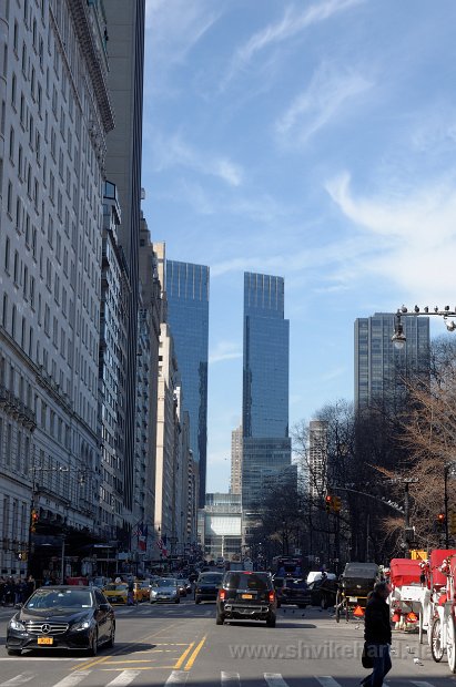 DSC_0295