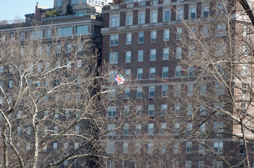 DSC_0354