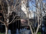 DSC_0281.jpg