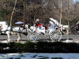 DSC_0299.jpg