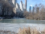 DSC_0301.jpg