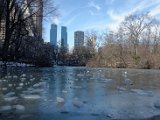 DSC_0303.jpg