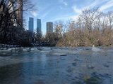 DSC_0304.jpg