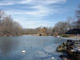 DSC_0306.jpg