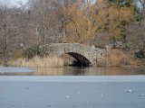 DSC_0307.jpg
