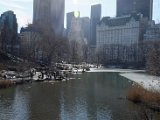 DSC_0311.jpg