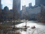 DSC_0312.jpg