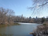 DSC_0328.jpg
