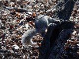 DSC_0330.jpg