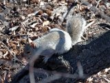 DSC_0331.jpg