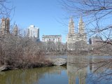 DSC_0332.jpg