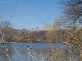 DSC_0336.jpg