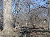 DSC_0341.jpg