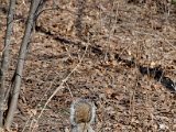 DSC_0342.jpg