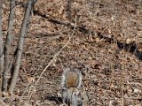 DSC_0343.jpg