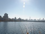 DSC_0357.jpg