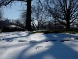 DSC_0361.jpg