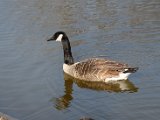 DSC_0366.jpg