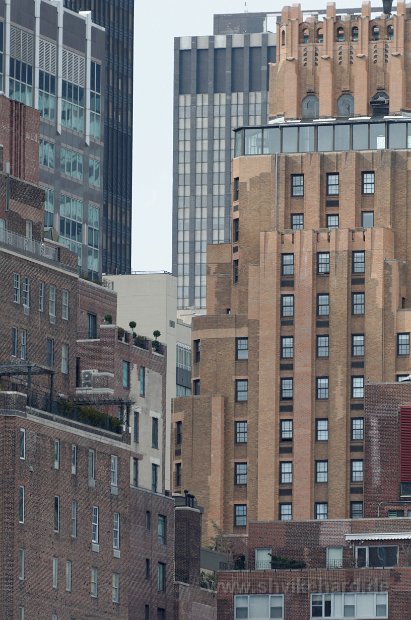 DSC_0391