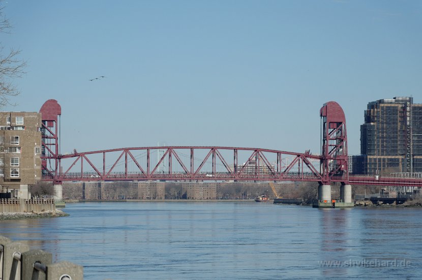 DSC_0427