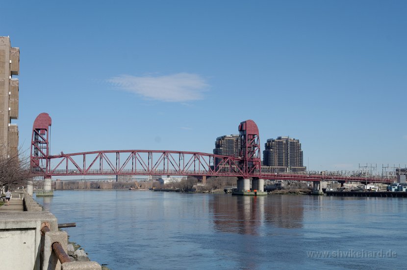 DSC_0431