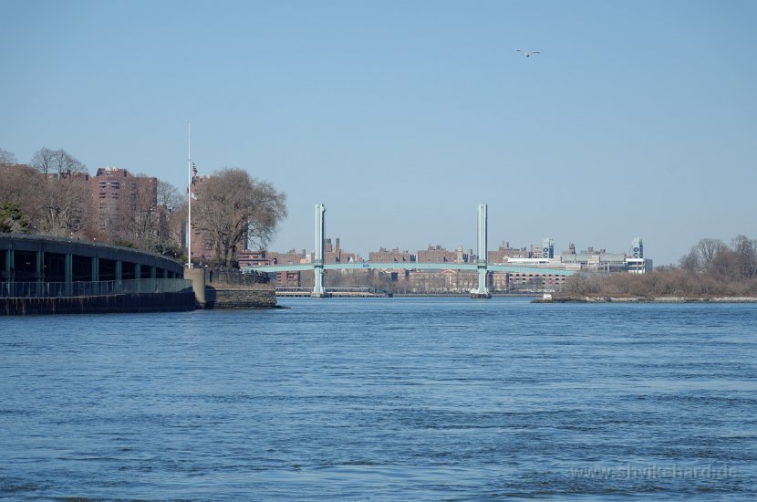 DSC_0452