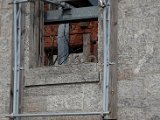 DSC_0414.jpg