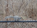 DSC_0418.jpg