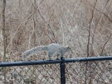 DSC_0419.jpg