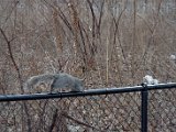 DSC_0420.jpg