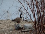 DSC_0421.jpg