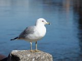 DSC_0432.jpg