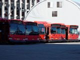 DSC_0437.jpg