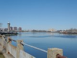 DSC_0442.jpg
