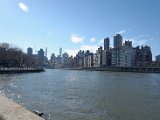 DSC_0450.jpg