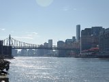 DSC_0454.jpg