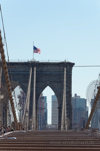 DSC_0464