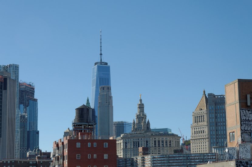 DSC_0501