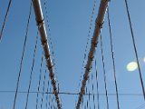 DSC_0455.jpg