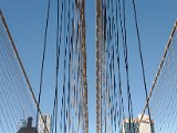 DSC_0458.jpg