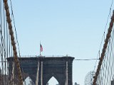 DSC_0463.jpg