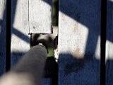 DSC_0476.jpg
