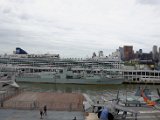 DSC_0379.jpg