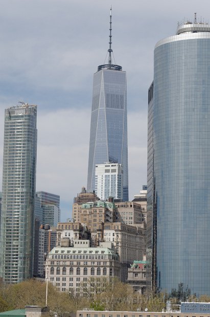 DSC_0294