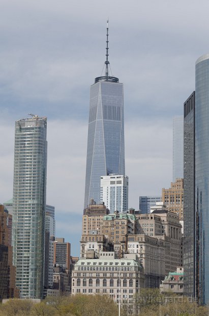DSC_0296