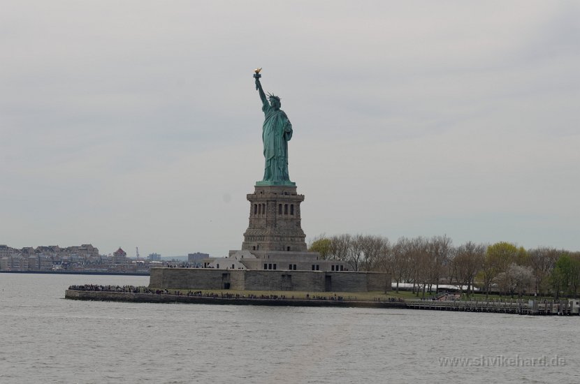 DSC_0313