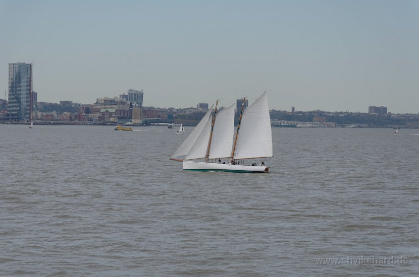 DSC_0338