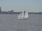DSC_0338.jpg