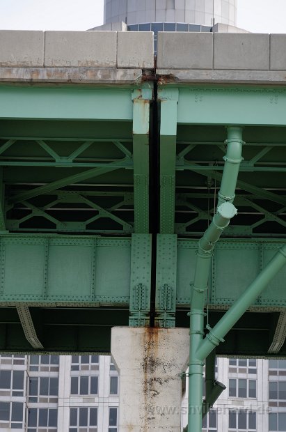 DSC_0542