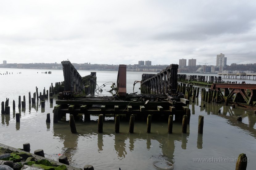 DSC_0546